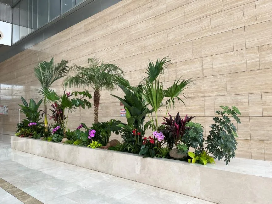 宁波鄞州花木租赁哪家好